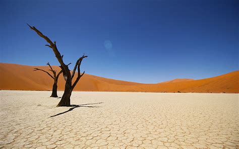 HD wallpaper: Namib Coastal Desert 4K, climate, landscape, arid climate, sky | Wallpaper Flare