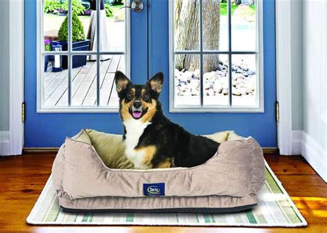 Serta Cuddler Dog Bed Review for Medium & Small Dogs