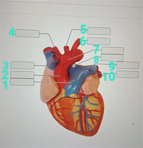 Solved If You Can Help Me Answer This I Would Really Appreciate It