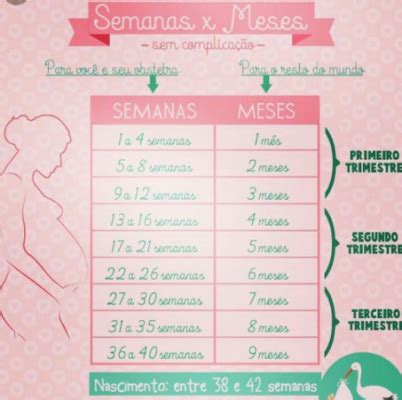 13 Semana E Quantos Meses