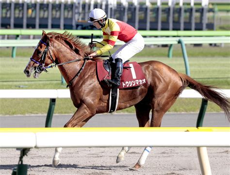 【京王杯スプリングc】トウシンマカオは伸び欠いて6着 菅原明良騎手「右回りの1200メートルがベストかも」 Umatoku 馬トク