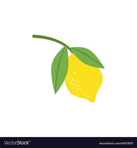 Fresh lemon fruit Royalty Free Vector Image - VectorStock