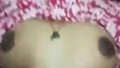 Kannada Bettadalli Tullu Keyyodu Mp4 Kissing Porn XHamster