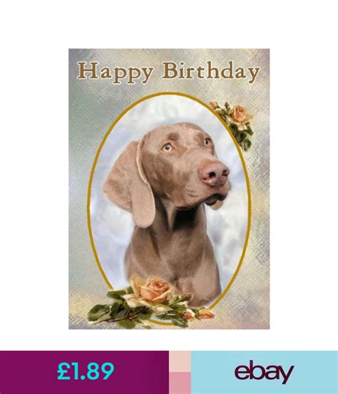 Weimaraner Dog Design A6 Textured Birthday Card Bdweimaraner 1 By