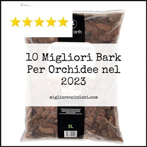 10 Migliori Bark Per Orchidee Nel 2024 IMigliore