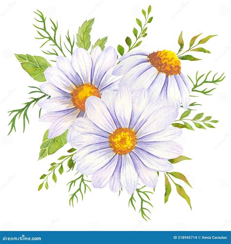 Aquarelle Marguerite Bouquet Peint La Main Marguerite Bouquets