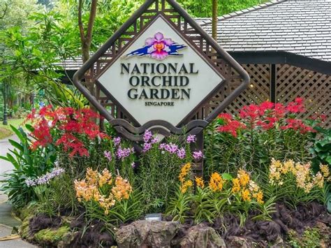 Singapore Botanic Gardens - National Orchid Garden | Attractions Near ...