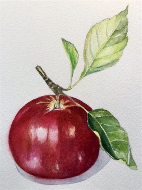 Red Apple Watercolor Painting