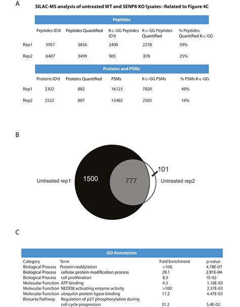 Figures And Data In SENP8 Limits Aberrant Neddylation Of NEDD8 Pathway