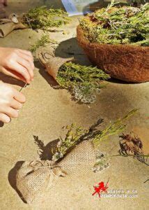 Las Plantas En La Prehistoria Viajes A La Prehistoria Talleres De