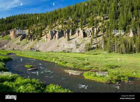 Gallatin National Forest Map