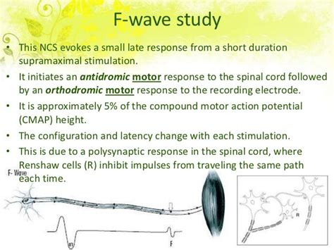 Nerve conduction study