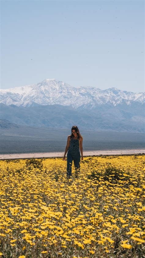 Living in Lake Tahoe: Summer — nomad maddie