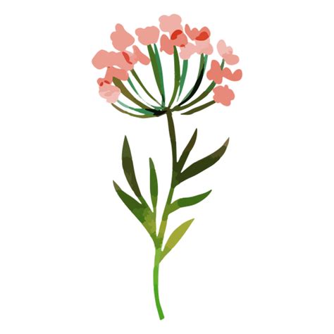 Design Png E Svg De Aquarela Flores Vermelhas Para Camisetas