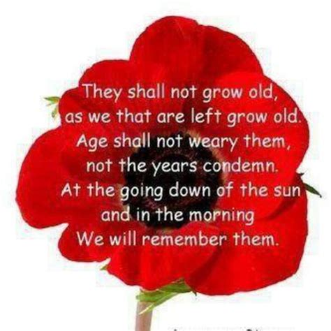 Remembrance Day Quotes - Gallery of Visuals