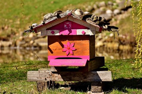 Bienenstock Bienen Holz Kostenloses Foto Auf Pixabay Pixabay