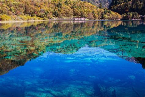 Five Flower Lake is Lake in Jiuzhaigou Stock Image - Image of pond ...