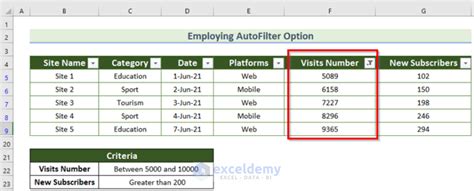 How To Apply Multiple Filters In Excel 6 Suitable Methods