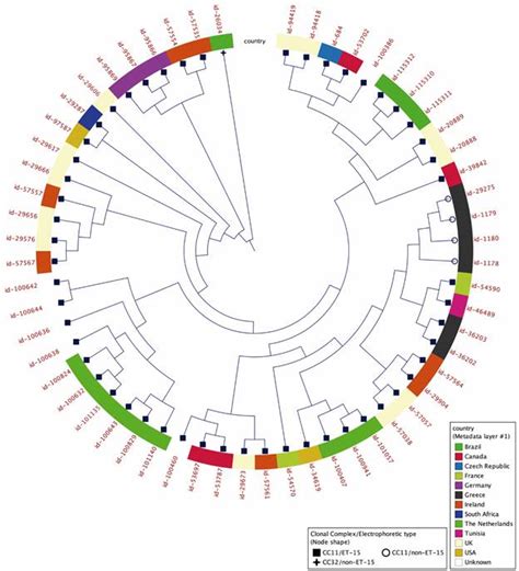 Scielo Brasil Characterisation Of Neisseria Meningitidis Cc Et