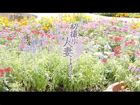 初撮り人妻ドキュメント 深山由梨 ダイジェスト付き XVIDEOS