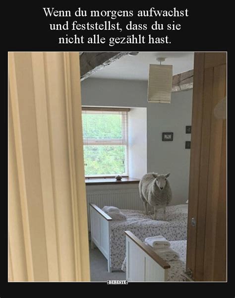 Wenn Du Morgens Aufwachst Und Feststellst Dass Du Sie Nicht Alle