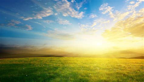 Sunlight: Get up and Get Out! Discover the Health Benefits 