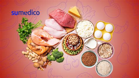 Alimentos ricos en proteína que debes sumar a tu dieta diaria Su Médico