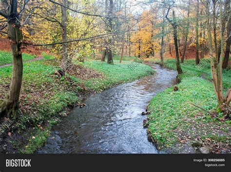 Flowing Creek Forest Image Photo Free Trial Bigstock