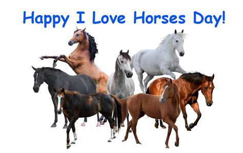 Happy 22i Love Horses22 Day By Uranimated18 On Deviantart