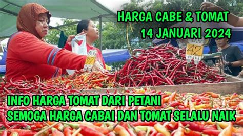 Harga Cabai Hari Ini 14 Januari 2024 Info Harga Cabe Rawit Hari Ini