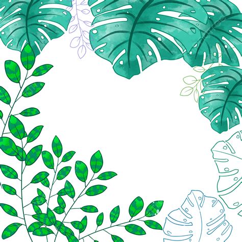 Tropical Summer Clipart Transparent Background Watercolor Summer