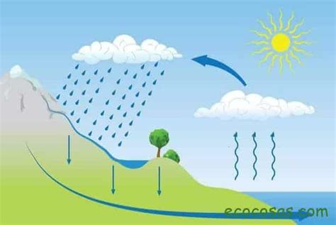 Qué Es El Ciclo Del Agua Esquema Y Explicación Telegraph