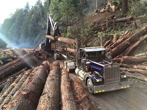 Pin by Bob Martin on Logging | Mechanics service truck, Cool trucks ...