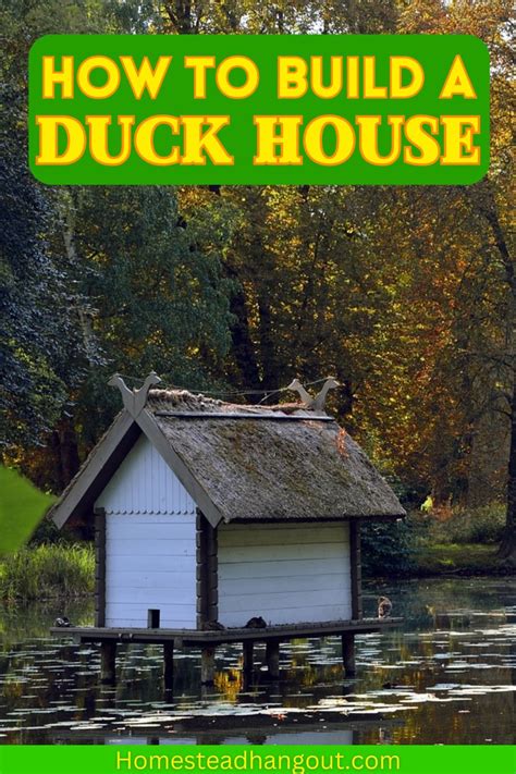 DIY Duck Enclosure Ideas: 10 Ways to Create a Safe Haven for Your Ducks