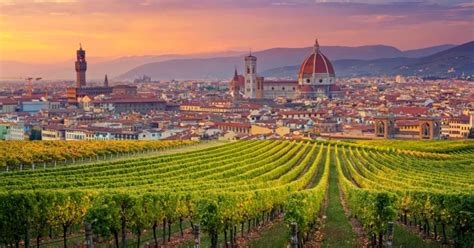 21 Best Province Of Florence Wineries: Local Winery Guide - All Roads Lead To Italy