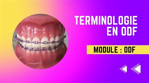 Terminologie En Odf Cours Me Ann E M Decine Dentaire Youtube