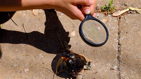 How To Make A Fire Using Light Passing Through A Magnifying Glass