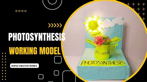 Photosynthesis Working Model Science Project DIY YouTube