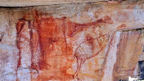 Megafauna Cave Painting Could Be 40000 Years Old Abc News