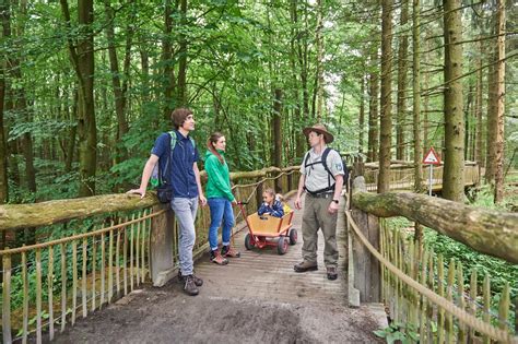 Start page | Eifel National Park