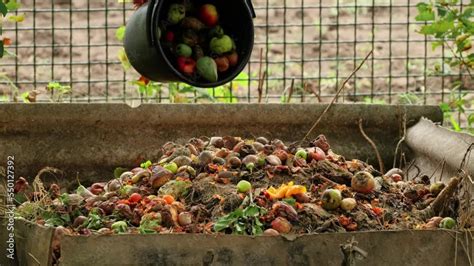 Organic Waste Falling From A Bucket Into A Compost Pit Bio Waste