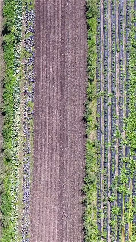 Uni N De Trabajadorxs De La Tierra On Twitter Expoalimentaria En