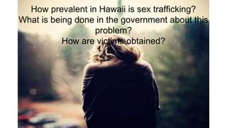 Sex Trafficking In Hawaii Pptx