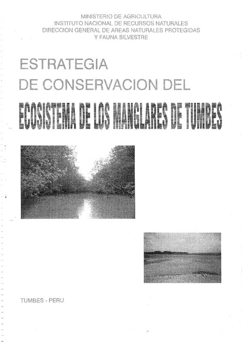 Ecosistema Manglares De Tumbes Marketing Studocu