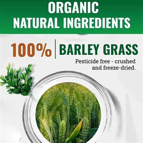 Pure Organic Barley Barley Grass Powder Pure Organic Organic