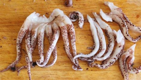 Щупальца кальмара: как вкусно приготовить