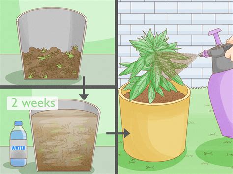 how to apply lawn fertilizer 8