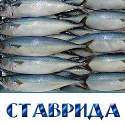 СВЕЖЕЗАМОРОЖЕННАЯ СТАВРИДА - Оптовая продажа рыбы по Московской области ...