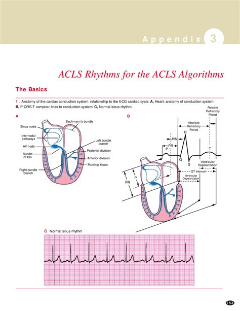 Acls Cheat Sheet Docsity