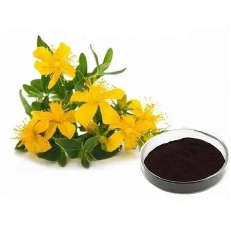 St Johns Wort Plant Extract Packaging Type Drum Packaging Size